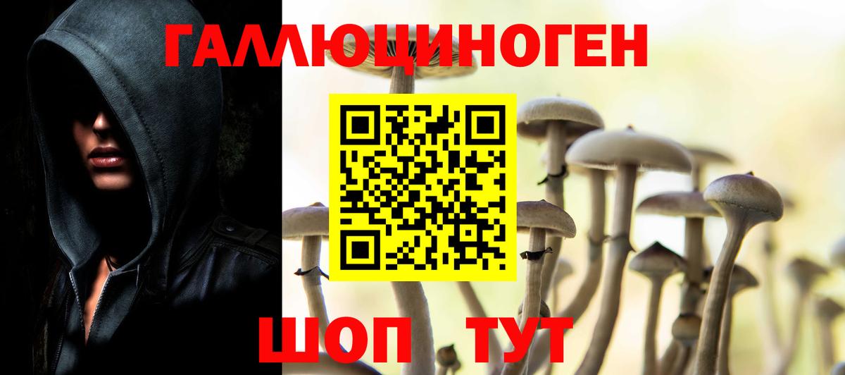 Галлюциногенные грибы Cubensis  Вход с VPN  купить  цена  Псилоцибиновые грибы Psilocybe  Алексин 
